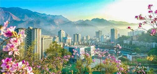 又獲一塊“金字招牌”!攀枝花入選2019年中國康養(yǎng)產(chǎn)業(yè)可持續(xù)發(fā)展能力20強地級市