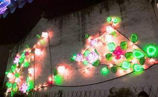 月色江南，醉美周莊 一簾燈影入夢來